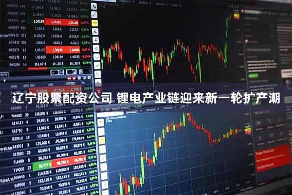 辽宁股票配资公司 锂电产业链迎来新一轮扩产潮